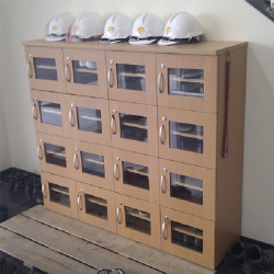 Tủ locker gỗ DSGTD16
