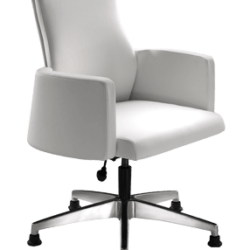 Ghế nữ giám đốc Lady04DF