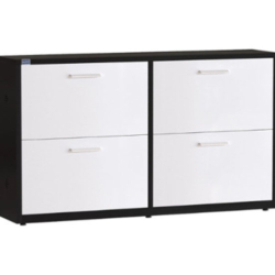Tủ để giày TG06-2