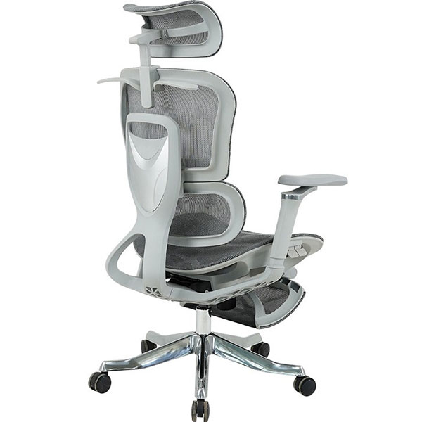 Ghế Công Thái Học GLE22 - Ảnh 2